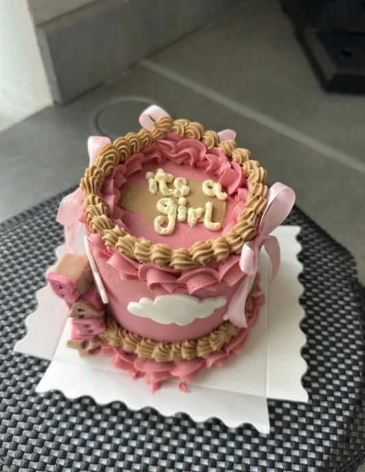 Dreamy Arrival Bento Cake